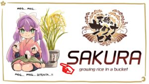 【天穂のサクナヒメ】バケツ稲のサクラヒメ！#3【にじさんじ/桜凛月】