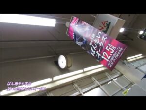 サクラヒメ号　連勝街道！！　第46回ばんえいオークス