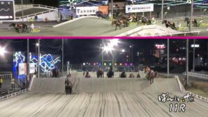 2021/12/5 帯広競馬11R ばんえいオークス（BG1） サクラヒメ