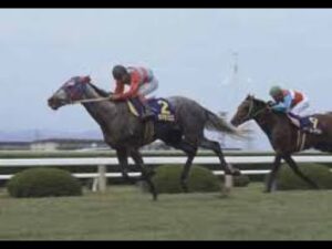 宝塚記念　レース集　ホマレーヒロ～ダンツシアトル