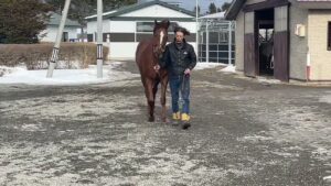 サクラヒメ（ヴィオレッタの21）230217撮影　ディアレストクラブ在厩