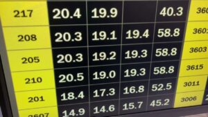 サクラヒメ（ヴィオレッタの21）230218撮影　　1本右側20.3-19.2-19.3  58.8   2本目左側18.0-16.4-16.3  50.7