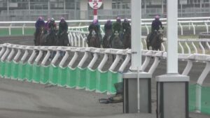 サクラヒメ　230414撮影　ディアレストクラブ在厩　トラックコース２列目外側が本馬