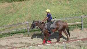 サクラヒメ　230816撮影　ケイワンステーブル在厩