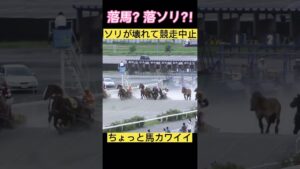ソリが外れて競走中止 #ばんえい競馬 #競馬
