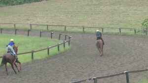 サクラヒメ　230906撮影　ケイワンステーブル在厩