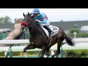 2歳新馬　 芝1200m (右) 　タヤスロンドン　牡2　55.0　丹内祐次　2023.6.24　　出走馬：ネガイヲカナエテ、ジンチョウゲ、サクラヒメ、フレデリック