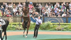 「うぉぉおお❗️マリノマジカルちゃんか゛わ゛い゛い゛〜‼️のりたいんじゃー😍」なサンダーバースに騒然とするパドック😨